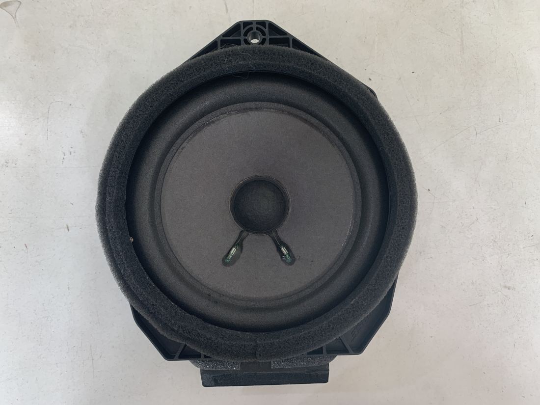 VF SSV HSV Bose front door speaker